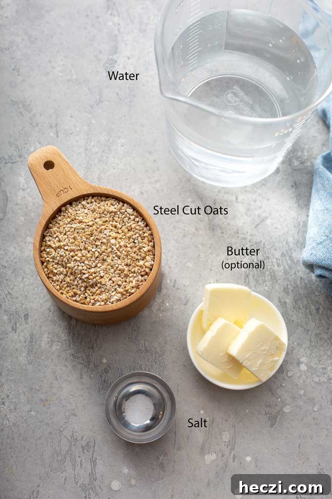 Creamy Instant Pot Steel-Cut Oats Recipe for Busy Mornings 3 Ingredients to make Pressure cooker steel cut oats