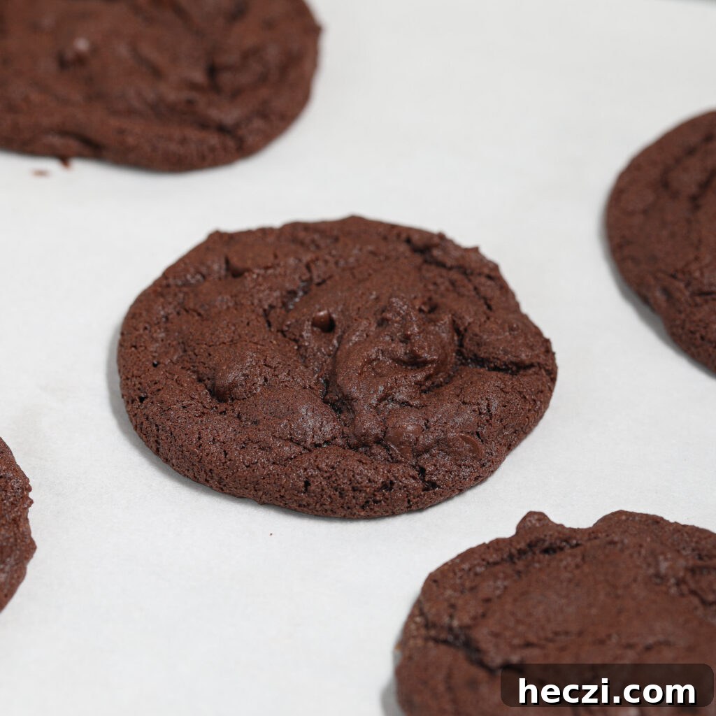 Ultimate Triple Chocolate Cookie Recipe Everyone Will Love 5 A close-up of several round Triple Chocolate Cookies on a white parchment paper background. The cookies appear soft and slightly cracked on top.