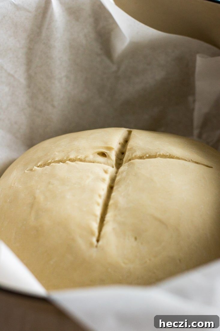 No-Knead Dutch Oven Beer Bread Recipe: Crispy Crust, Soft Inside 3 Dough scored inside dutch oven.