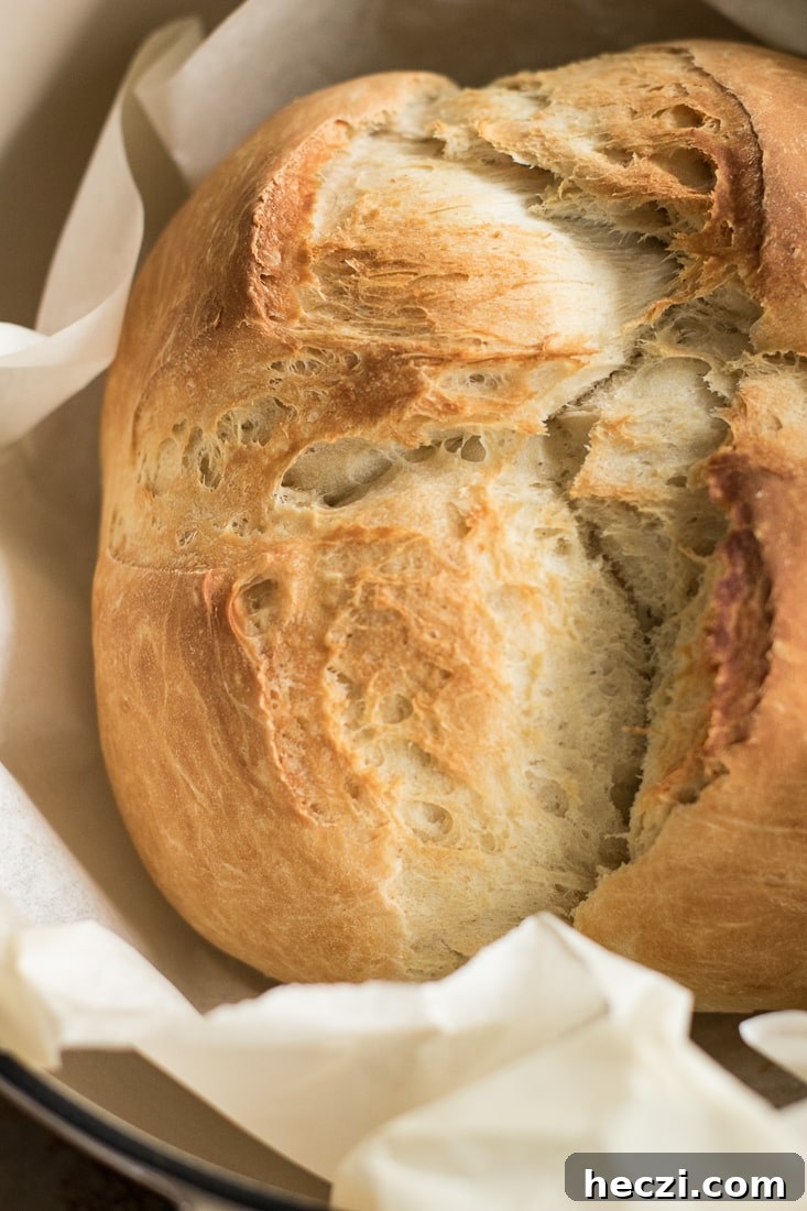 No-Knead Dutch Oven Beer Bread Recipe: Crispy Crust, Soft Inside 4 Baked beer bread inside a Dutch oven with parchment paper.