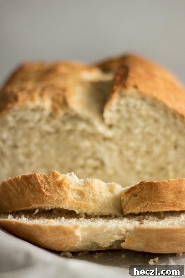 No-Knead Dutch Oven Beer Bread Recipe: Crispy Crust, Soft Inside 5 Pilsener beer bread, just baked, sliced.