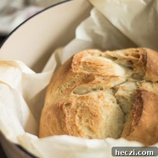 No-Knead Dutch Oven Beer Bread Recipe: Crispy Crust, Soft Inside 6 Baked beer bread inside a Dutch oven with parchment paper.