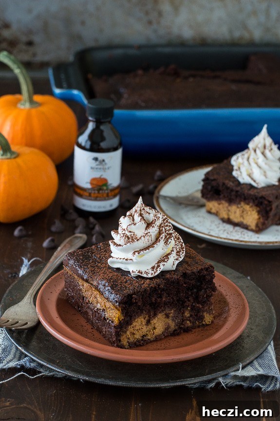 Chocolate Pumpkin Magic Cake Recipe — Moist Layered Dessert 2 Easy Chocolate Pumpkin Magic Cake with a pumpkin pie layer and a chocolate cake layer!