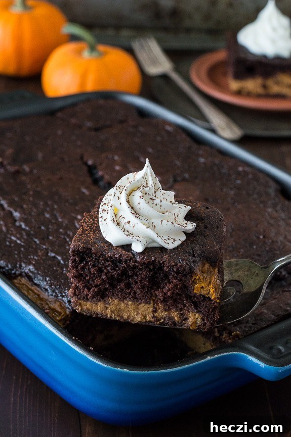 Chocolate Pumpkin Magic Cake Recipe — Moist Layered Dessert 3 Easy Chocolate Pumpkin Magic Cake with a pumpkin pie layer and a chocolate cake layer!