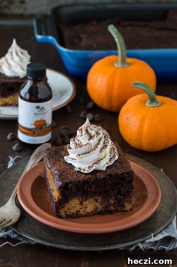 Chocolate Pumpkin Magic Cake Recipe — Moist Layered Dessert 5 Easy Chocolate Pumpkin Magic Cake with a pumpkin pie layer and a chocolate cake layer!