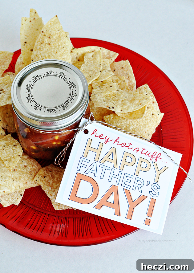 Printable Father's Day Tags  - Salsa and chips gift idea from www.thirtyhandmadedays.com
