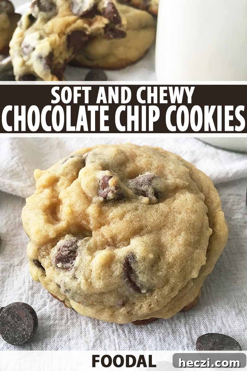 Vertical image of a chocolate chip cookie and white text on a brown background. 