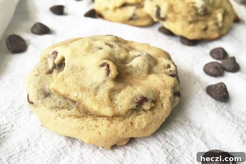 Horizontal image of a whole chocolate chip cookie on a white towel.