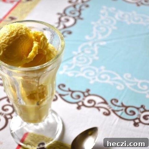 Helado de Canela {Mexican Cinnamon Ice Cream Recipe}