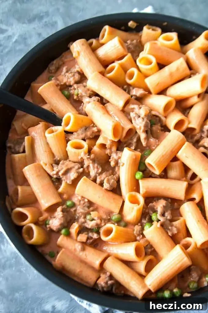 Rustic Sausage Rigatoni with Creamy Tomato Sauce 8 Country-Style Rigatoni in a skillet