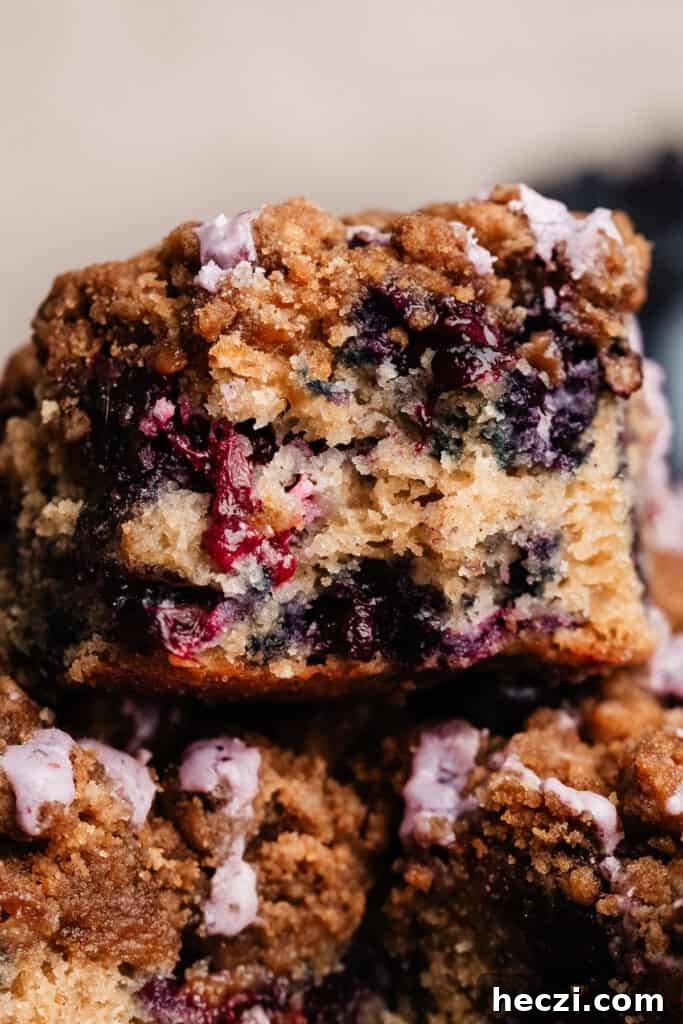Blueberry Coffee Cake Recipe with Streusel Crumbs 11 A close-up on a piece of coffee cake, showing the fluffy texture inside.