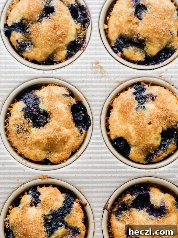 Blueberry Coffee Cake Recipe with Streusel Crumbs 12 img 29597 11