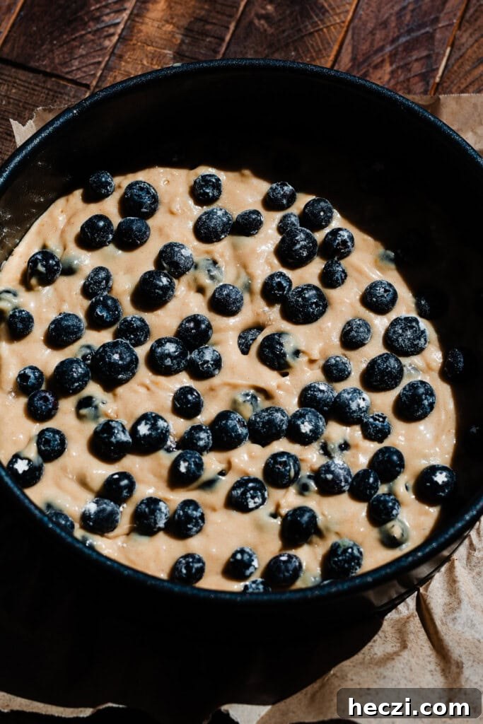 Blueberry Coffee Cake Recipe with Streusel Crumbs 6 Blueberries atop the batter in a springform pan.