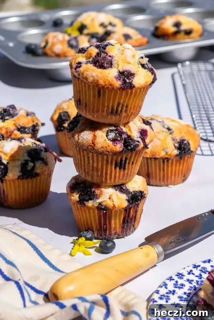 a stack of blueberry muffins. 