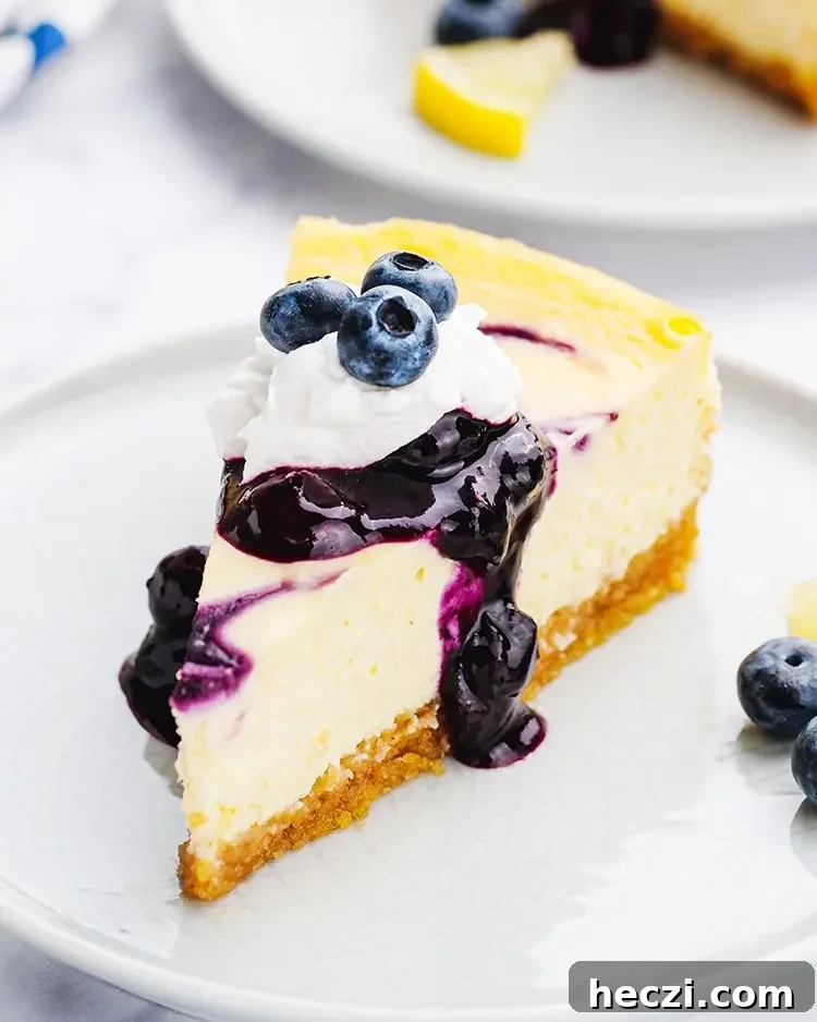 a slice of cheesecake with blueberry sauce. 