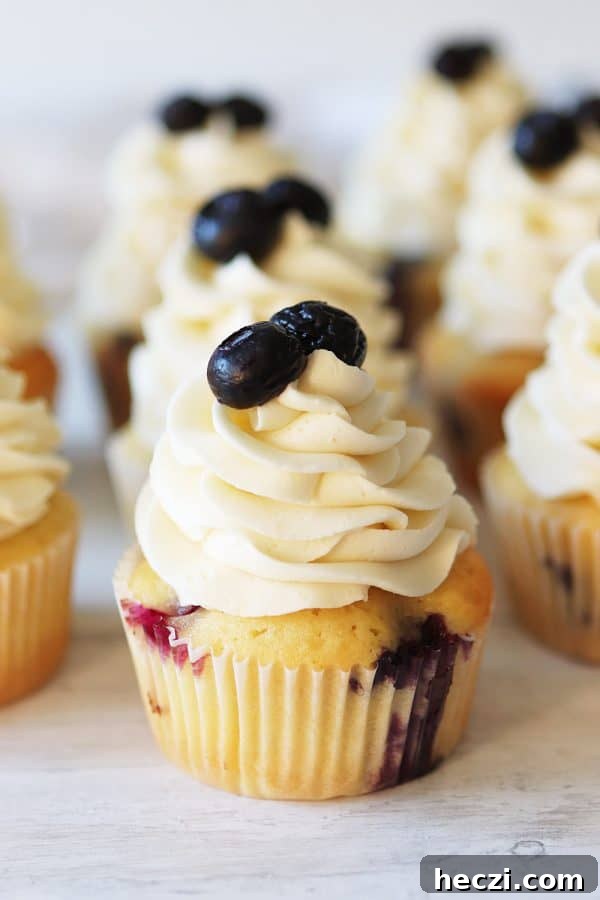 blueberry cupcakes with vanilla frosting and fresh blueberries. 