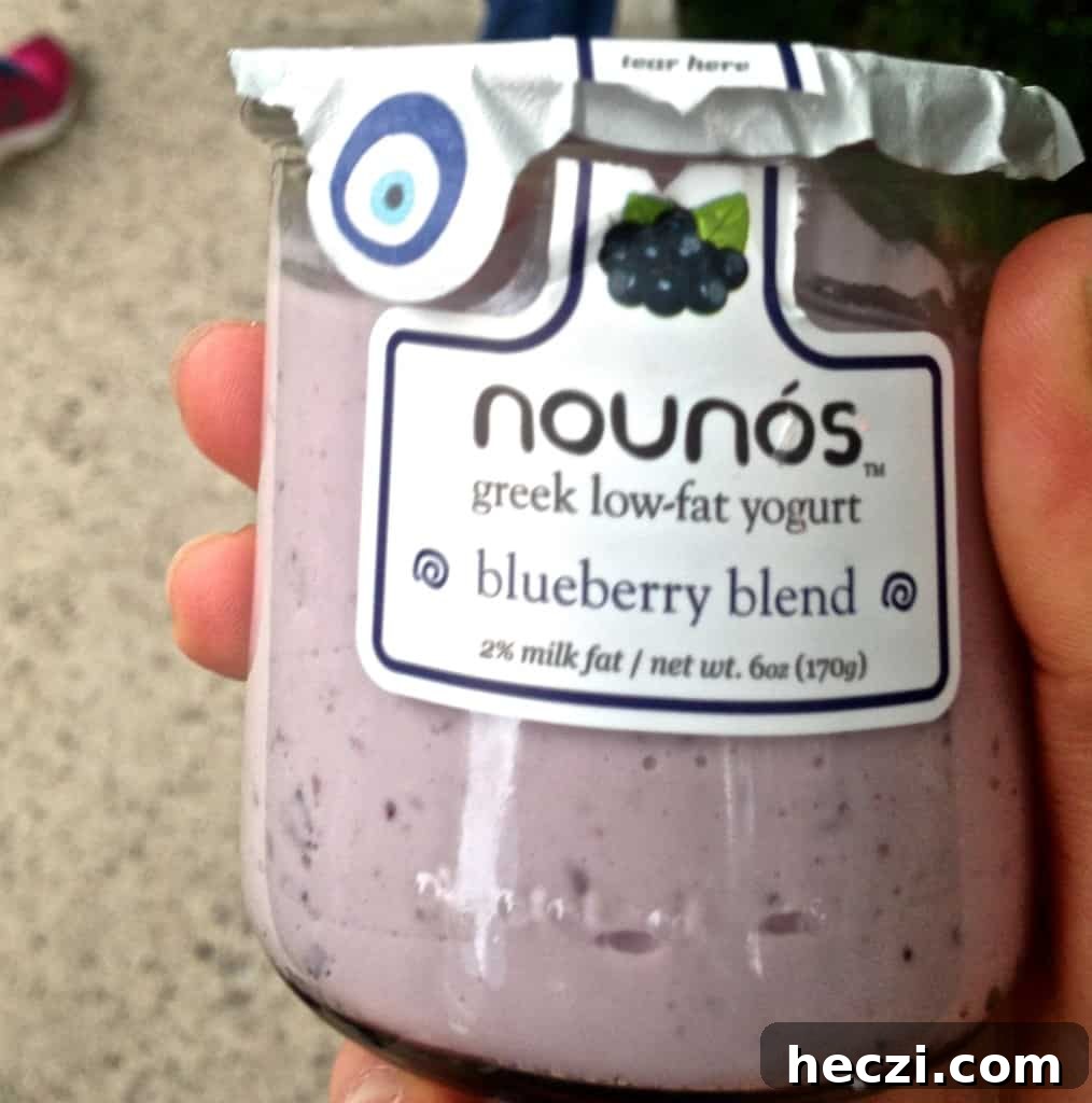 Top New York City Restaurants and Iconic Food Spots 2 nounos greek yogurt