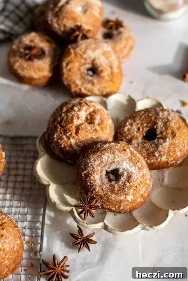 cinnamon sugar buttermilk donuts