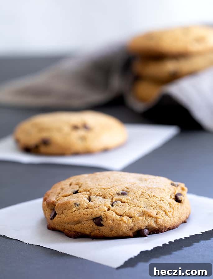 These easy chocolate chip peanut butter protein cookies are made in one bowl, with high-quality whey protein, smooth peanut butter, and just a touch of honey. 