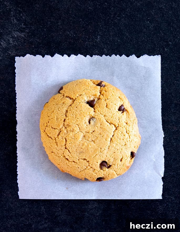 These easy chocolate chip peanut butter protein cookies are made in one bowl, with high-quality whey protein, smooth peanut butter, and just a touch of honey. 