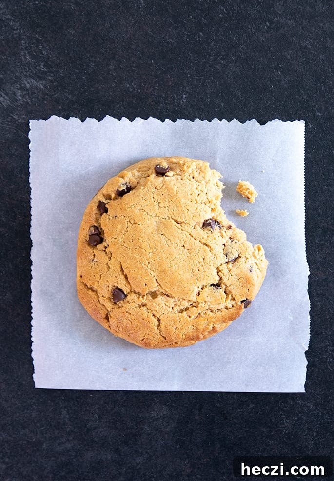 These easy chocolate chip peanut butter protein cookies are made in one bowl, with high-quality whey protein, smooth peanut butter, and just a touch of honey. 