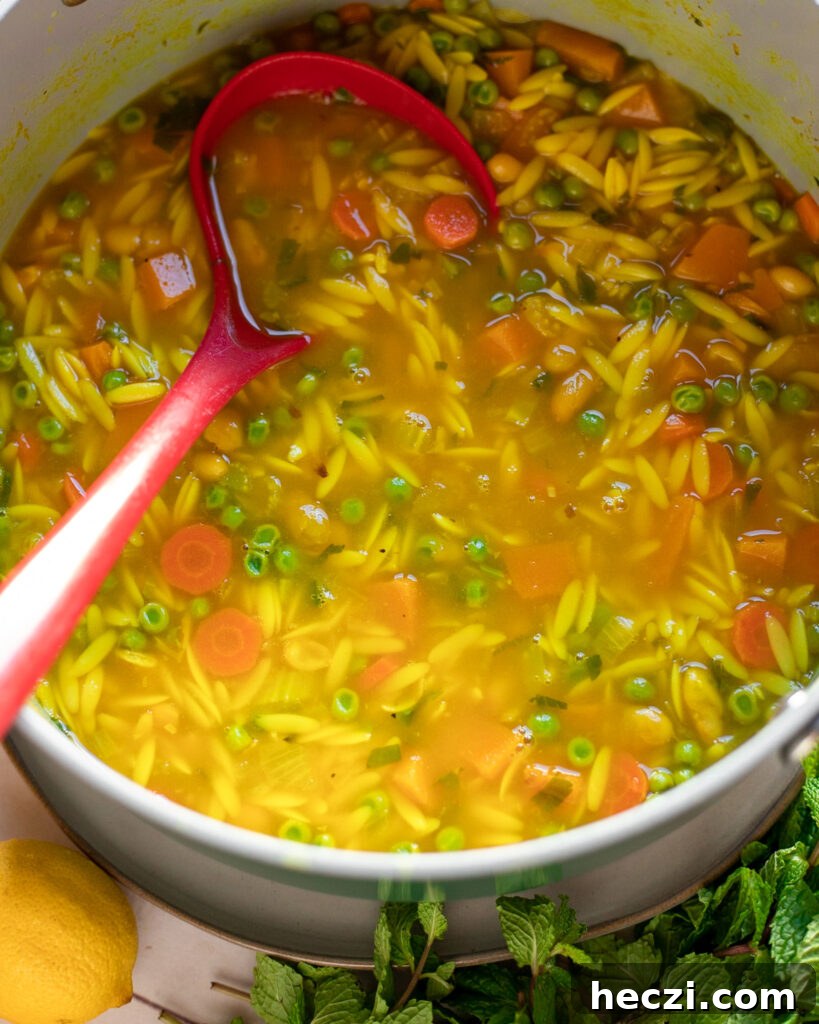 image pot of lemon orzo soup