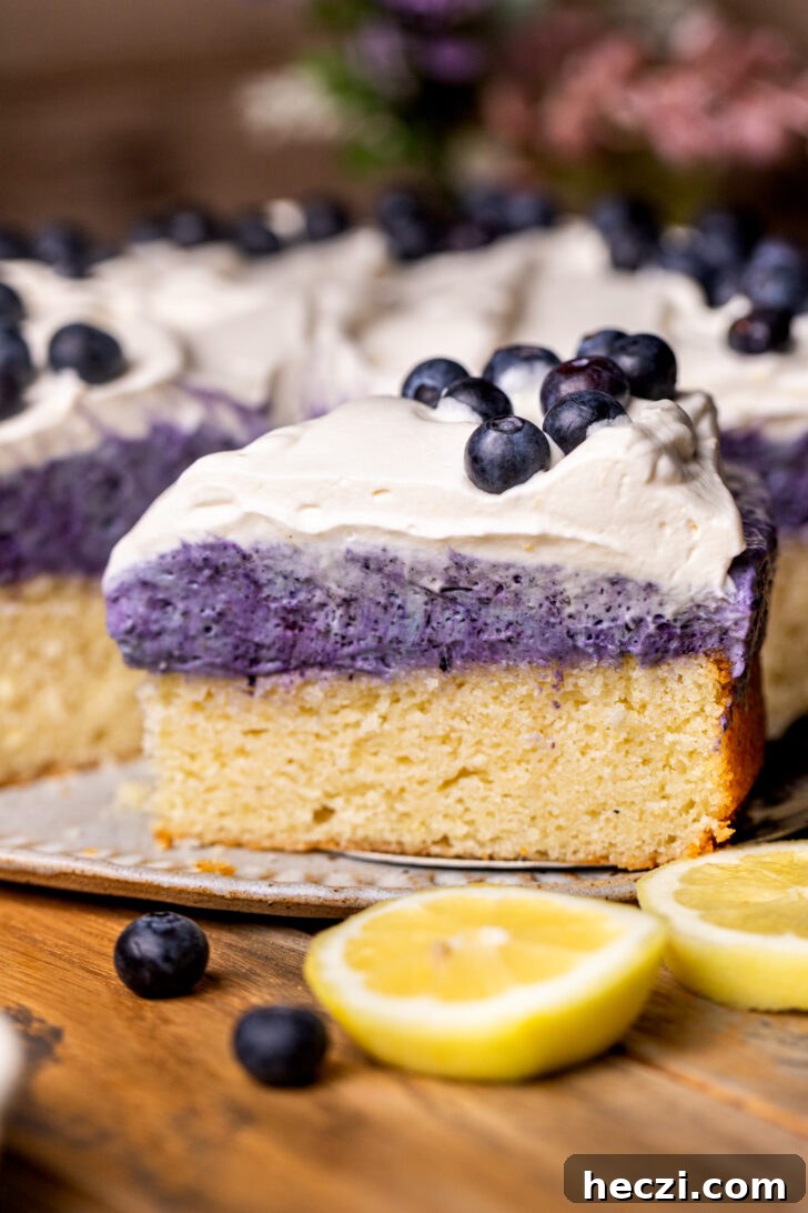 Lemon Blueberry Mousse Cake Recipe — Light Layered Dessert 2 Slice of the lemon blueberry mousse cake by the whole cake.
