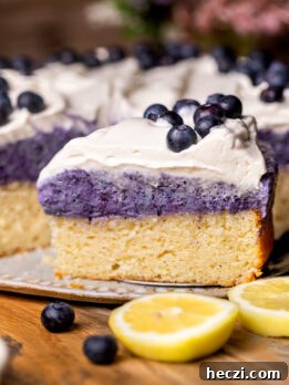 Lemon Blueberry Mousse Cake Recipe — Light Layered Dessert 12 Slice of the lemon blueberry mousse cake by the whole cake.