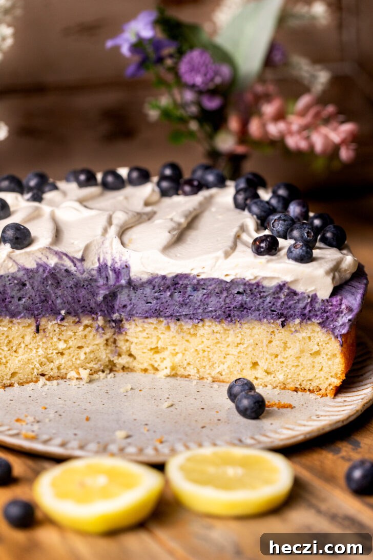 Lemon Blueberry Mousse Cake Recipe — Light Layered Dessert 3 Side view of opened lemon blueberry mousse cake.