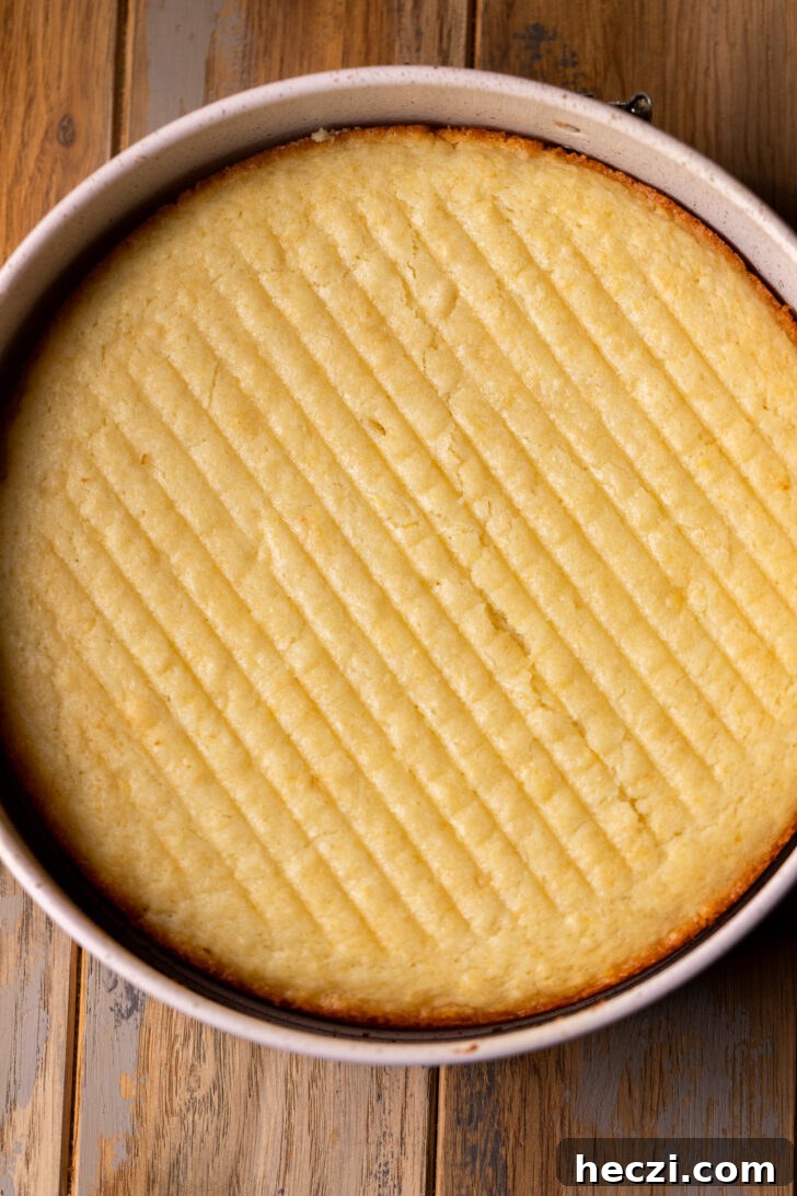 Lemon Blueberry Mousse Cake Recipe — Light Layered Dessert 5 Lemon cake in the pan.