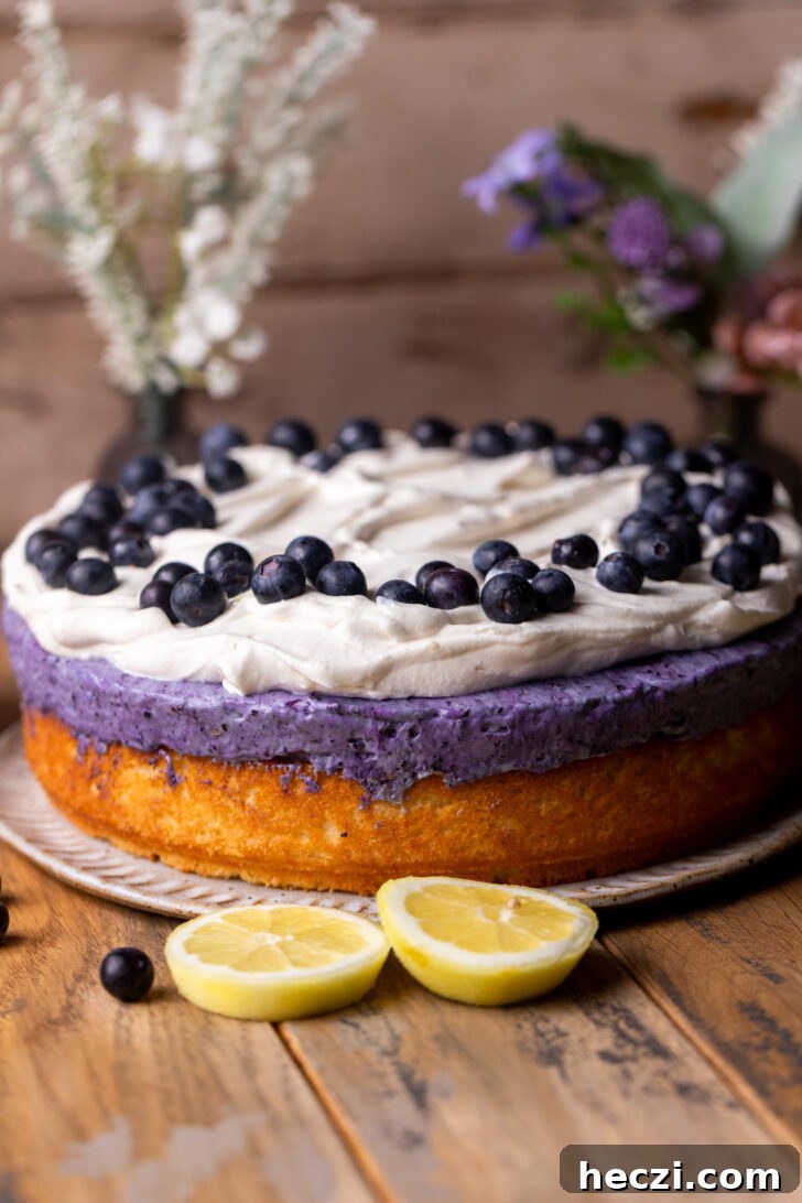 Lemon Blueberry Mousse Cake Recipe — Light Layered Dessert 9 Decorated cake on a platter.