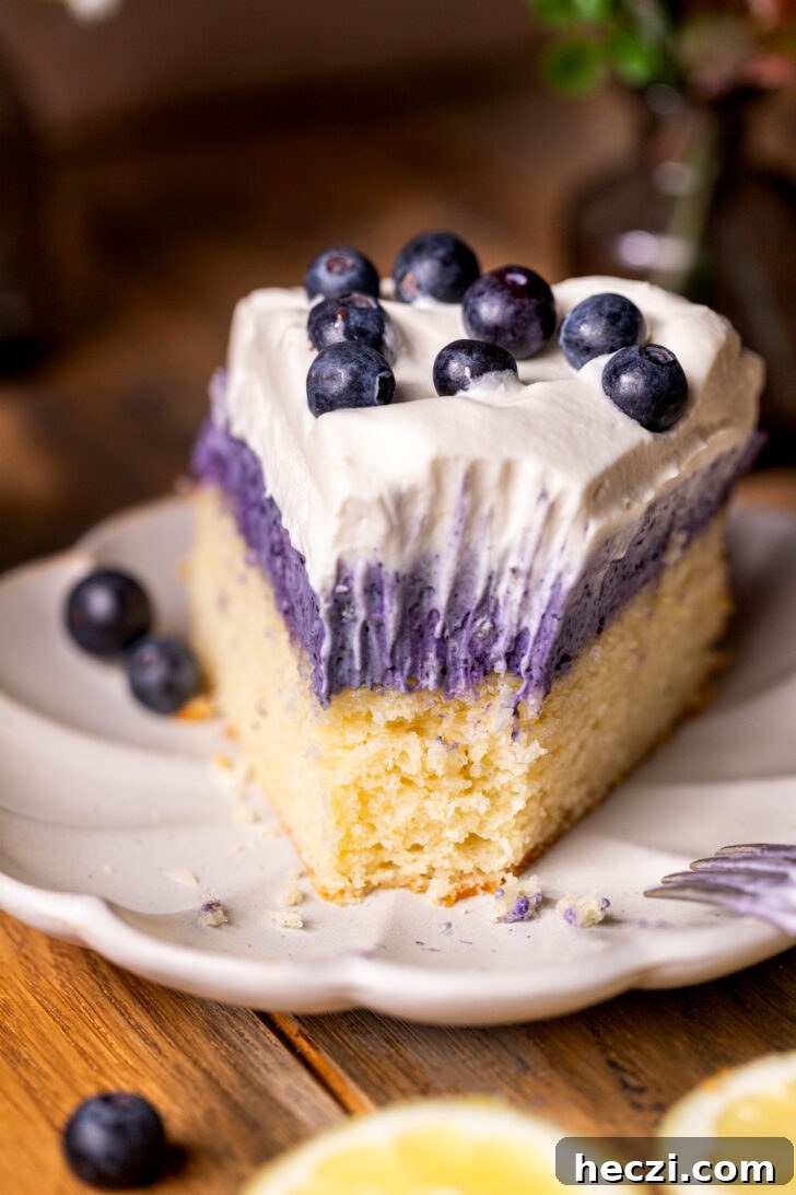 Lemon Blueberry Mousse Cake Recipe — Light Layered Dessert 10 Bite missing from cake.