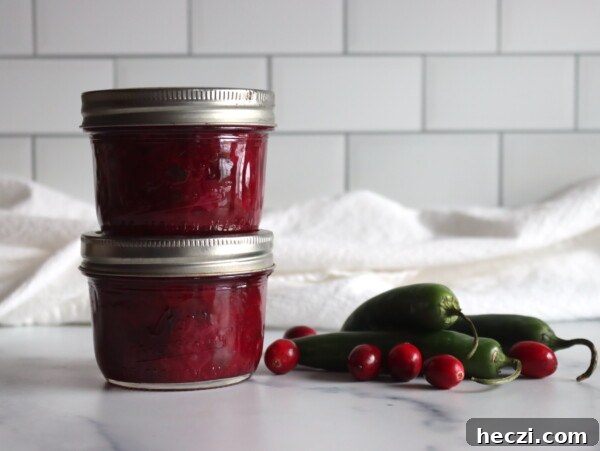 Cranberry Applesauce Recipe: Tangy Homemade Sauce in 20 Minutes 10 Cranberry Salsa