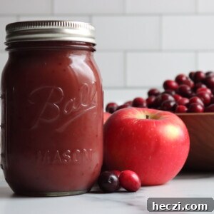 Cranberry Applesauce Recipe: Tangy Homemade Sauce in 20 Minutes 11 Cranberry Applesauce
