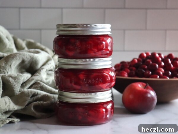 Cranberry Applesauce Recipe: Tangy Homemade Sauce in 20 Minutes 12 Cranberry Apple Jam