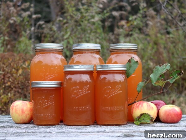 Cranberry Applesauce Recipe: Tangy Homemade Sauce in 20 Minutes 14 Canning Apple Cider