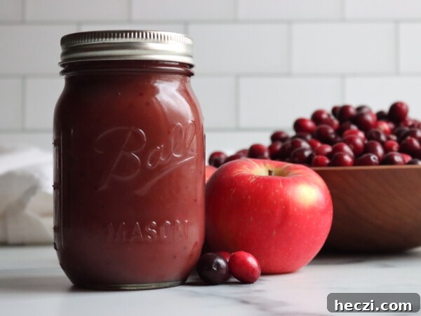 Cranberry Applesauce Recipe: Tangy Homemade Sauce in 20 Minutes 9 Cranberry Applesauce