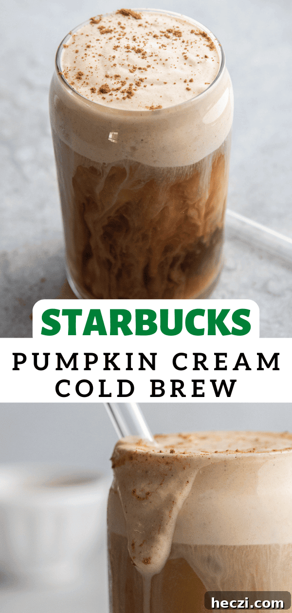 Starbucks Pumpkin Cream Cold Brew Review: Flavor, Price & Tips 11 pumpkin cream cold brew