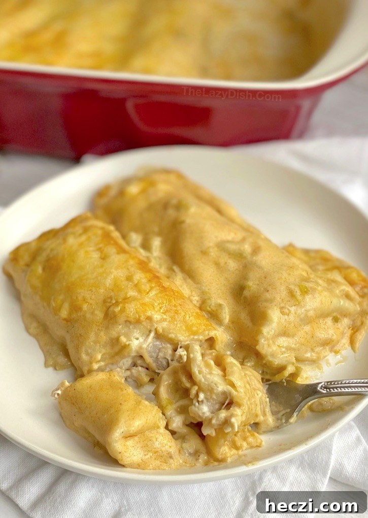 Creamy White Chicken Enchiladas Recipe for Comforting Dinner 6 Easy Creamy White Chicken Enchiladas -- A super yummy last minute dinner recipe! My family and kids love this quick and easy meal, plus it's cheap and easy to make thanks to rotisserie chicken.