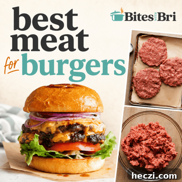 Juicy Grilled Hamburger Recipe for Perfect Summer BBQ 9 Graphic for “Best Meat for Burgers”