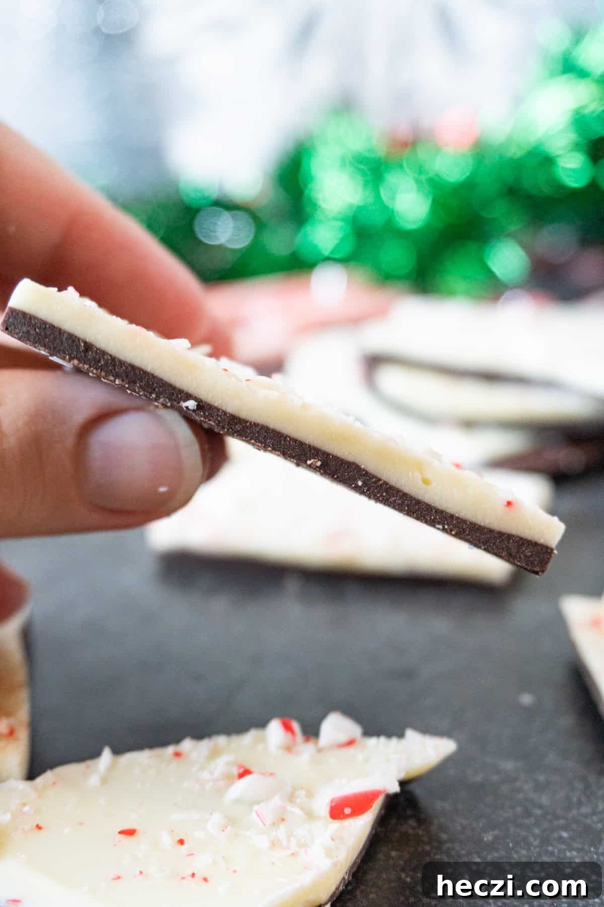 Homemade Peppermint Bark Recipe: Quick Holiday Chocolate Candy 10 holding a piece of peppermint bark showing the distinct white chocolate and chocolate layers.