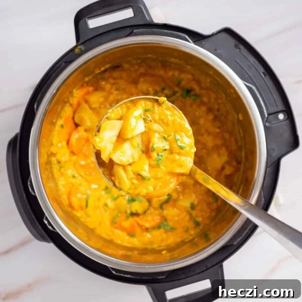 Overhead view of an instant pot full of mulligatawny soup with a ladle scooping out the dish.