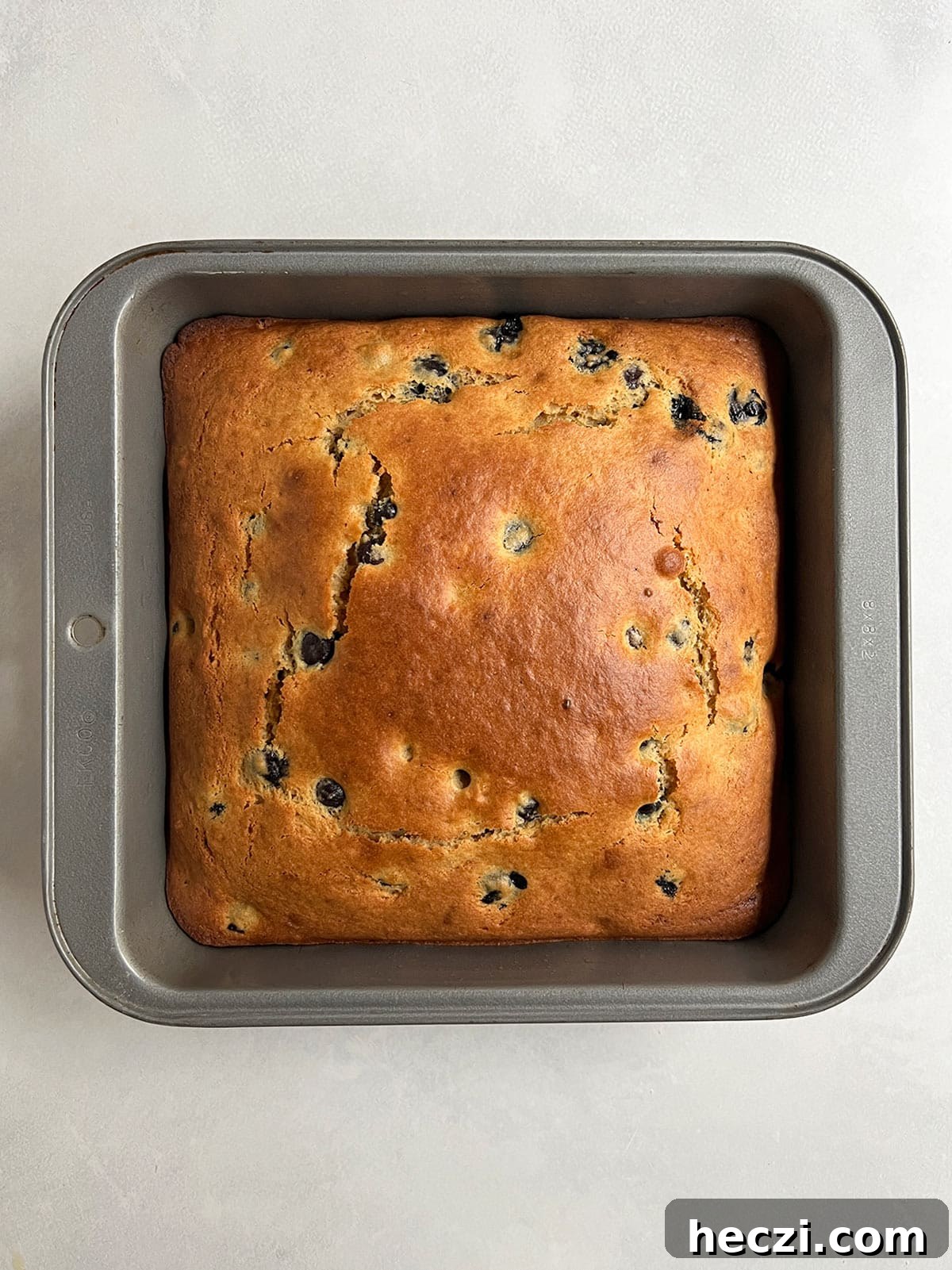 Blueberry tea cake baked and still in square cake pan.