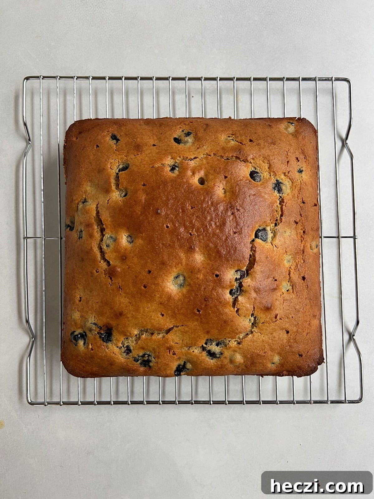 Olive oil blueberry cake on rack with holes poked in it before glaze is added.