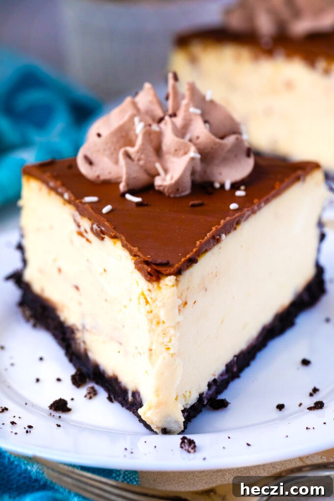 Close shot of a slice of creamy Bailey's cheesecake.
