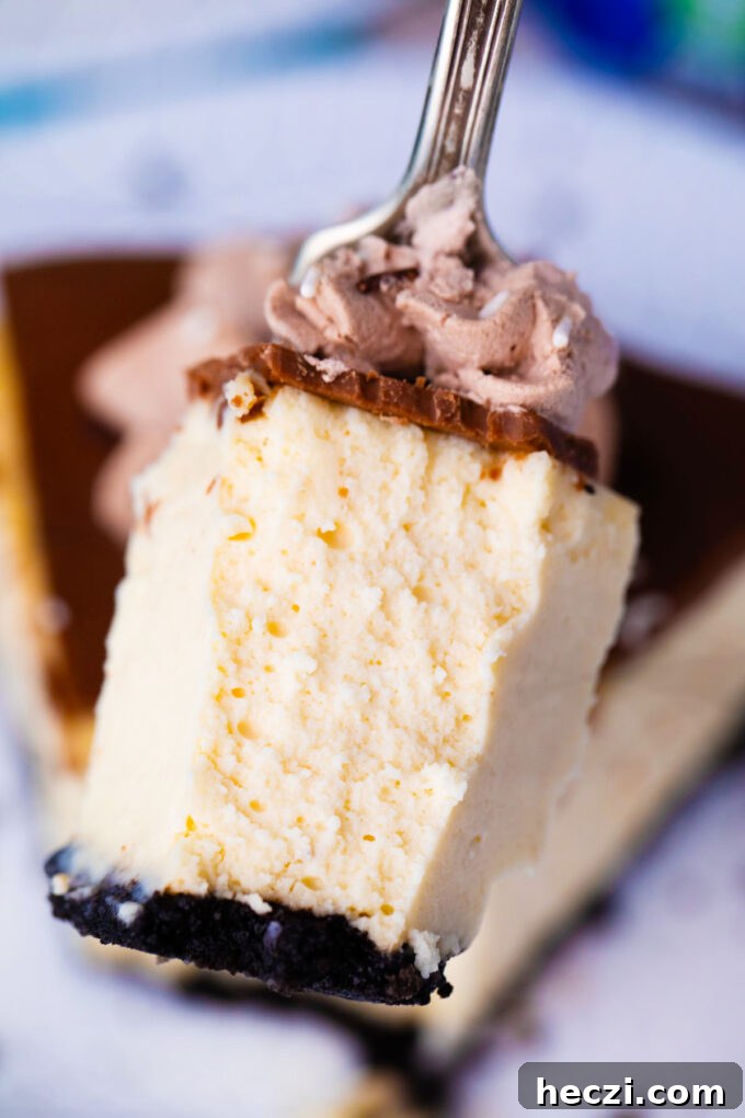 A forkful of rich and decadent Bailey's cheesecake.