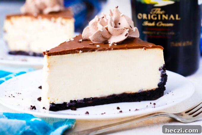 Homemade Bailey's cheesecake.