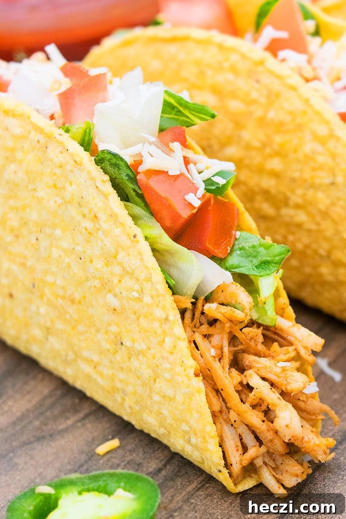 One-Pot Shredded Chicken Tacos Recipe for Quick Weeknights 2 Easy Shredded Chicken Tacos Recipe