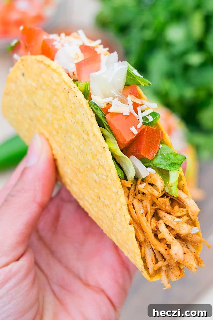 One-Pot Shredded Chicken Tacos Recipe for Quick Weeknights 4 Pulled Chicken Tacos with Taco Seasoning
