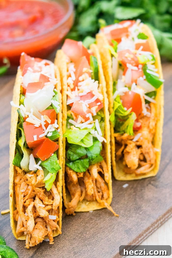One-Pot Shredded Chicken Tacos Recipe for Quick Weeknights 5 Chicken Street Tacos